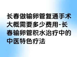 长春做输卵管复通手术大概需要多少费用-长春输卵管积水治疗中的中医特色疗法